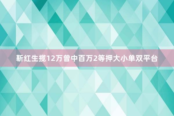 靳红生揽12万曾中百万2等押大小单双平台