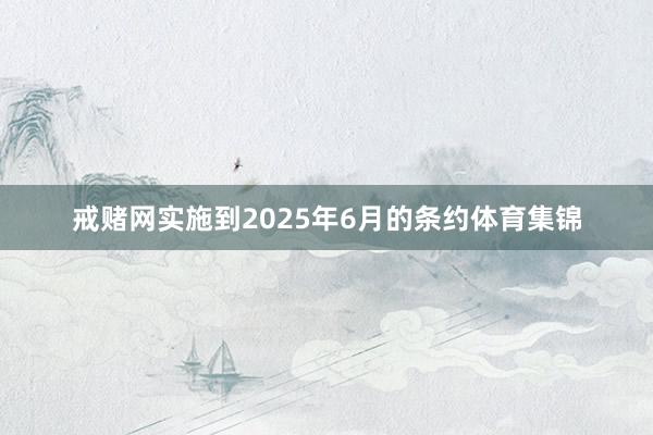 戒赌网实施到2025年6月的条约体育集锦