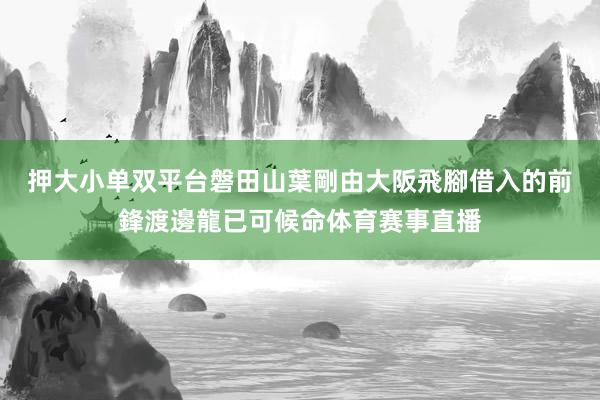 押大小单双平台　　磐田山葉剛由大阪飛腳借入的前鋒渡邊龍已可候命体育赛事直播