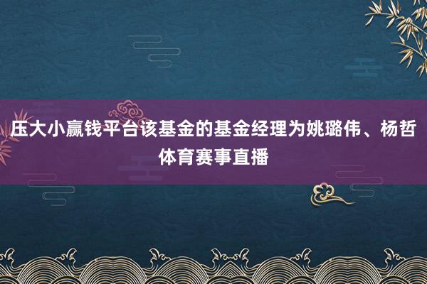 压大小赢钱平台该基金的基金经理为姚璐伟、杨哲体育赛事直播