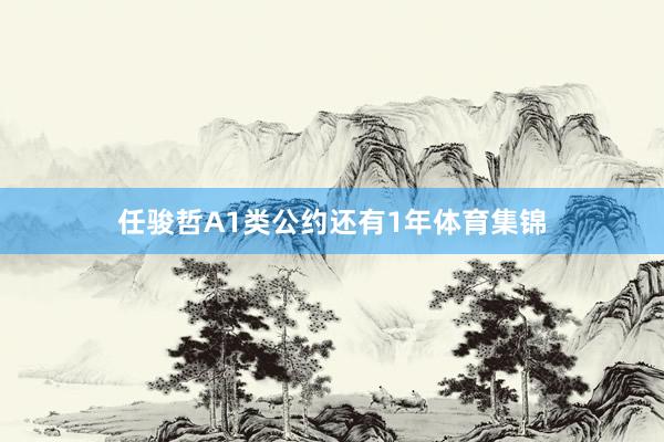 任骏哲A1类公约还有1年体育集锦