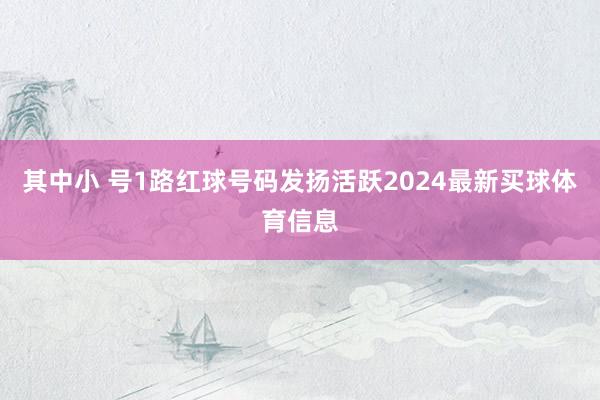 其中小 号1路红球号码发扬活跃2024最新买球体育信息