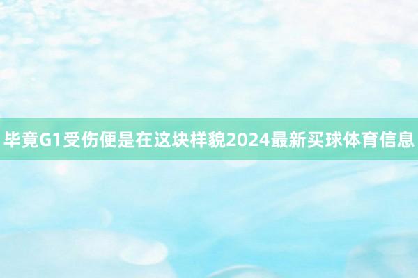 毕竟G1受伤便是在这块样貌2024最新买球体育信息