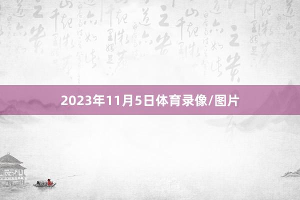 2023年11月5日体育录像/图片