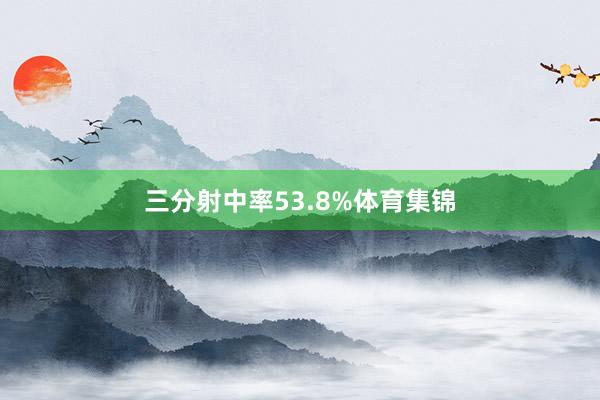 三分射中率53.8%体育集锦