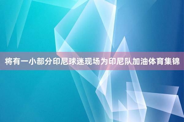 将有一小部分印尼球迷现场为印尼队加油体育集锦