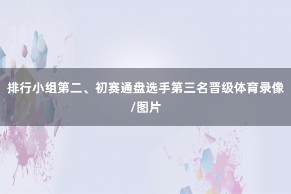 排行小组第二、初赛通盘选手第三名晋级体育录像/图片