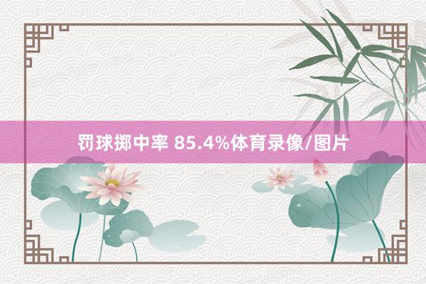 罚球掷中率 85.4%体育录像/图片